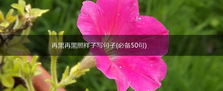 再黑再黑照样子写句子(必备50句),第1张