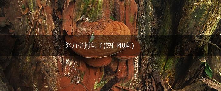 努力拼搏句子(热门40句),第1张