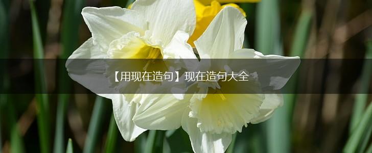 【用现在造句】现在造句大全,第1张