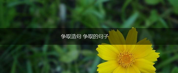 争取造句 争取的句子,第1张