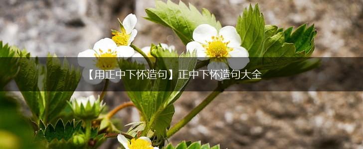 【用正中下怀造句】正中下怀造句大全,第1张