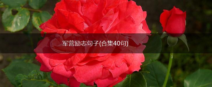 军营励志句子(合集40句),第1张