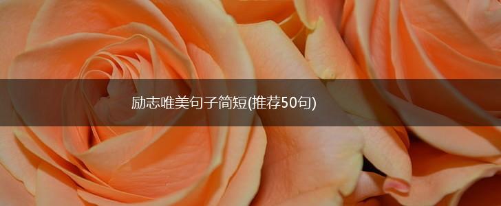 励志唯美句子简短(推荐50句),第1张