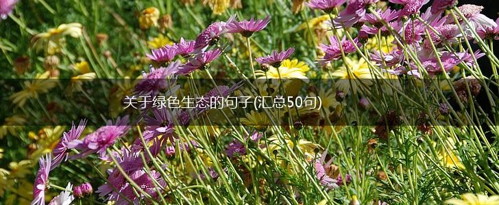 关于绿色生态的句子(汇总50句),第1张