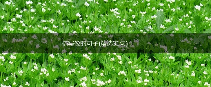 仿写像的句子(精选31句),第1张