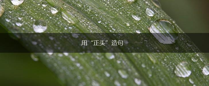 用“正头”造句,第1张