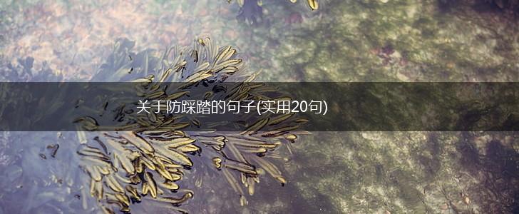 关于防踩踏的句子(实用20句),第1张
