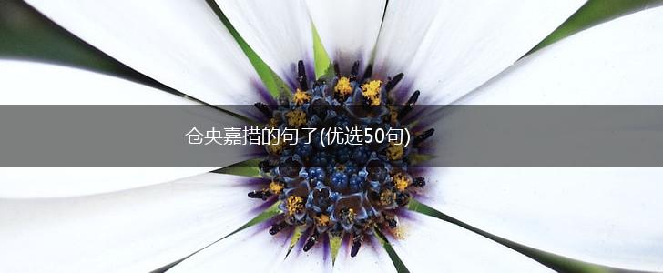 仓央嘉措的句子(优选50句),第1张