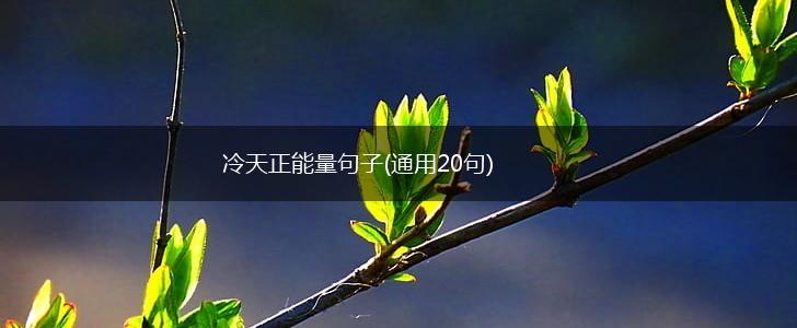 冷天正能量句子(通用20句),第1张