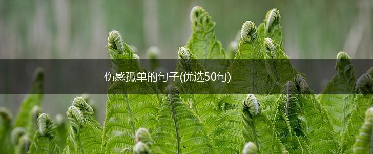 伤感孤单的句子(优选50句),第1张