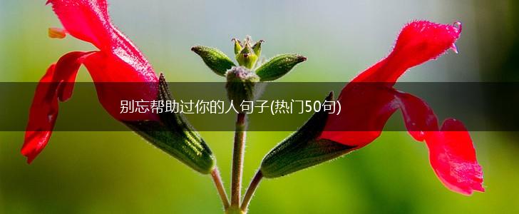 别忘帮助过你的人句子(热门50句),第1张