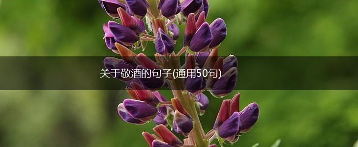 关于敬酒的句子(通用50句),第1张