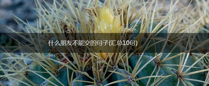 什么朋友不能交的句子(汇总10句),第1张