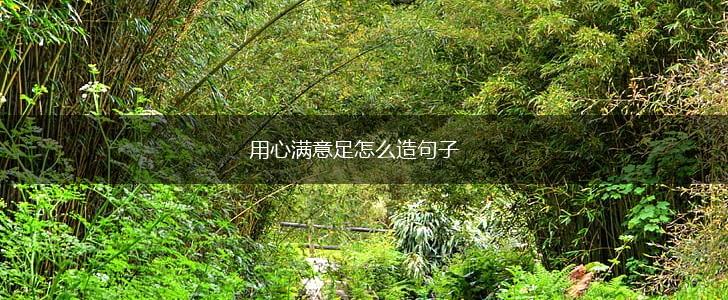 用心满意足怎么造句子,第1张