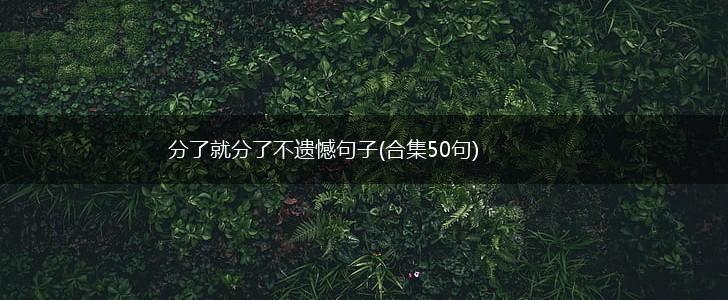分了就分了不遗憾句子(合集50句),第1张