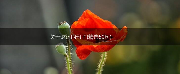 关于财运的句子(精选50句),第1张
