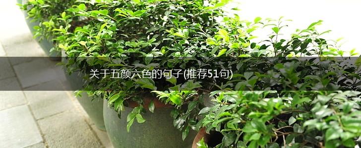 关于五颜六色的句子(推荐51句),第1张