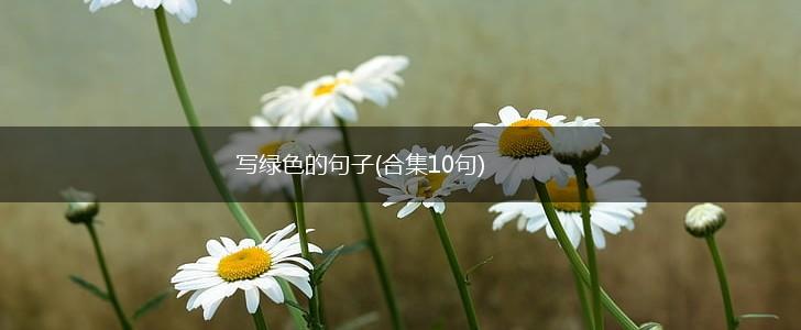 写绿色的句子(合集10句),第1张