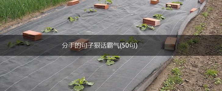 分手的句子狠话霸气(50句),第1张