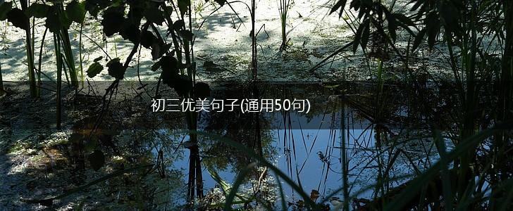初三优美句子(通用50句),第1张