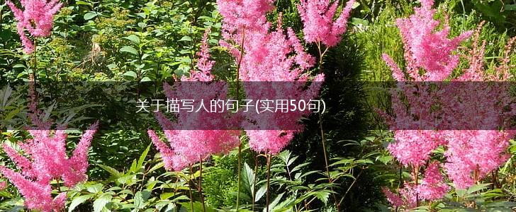 关于描写人的句子(实用50句),第1张