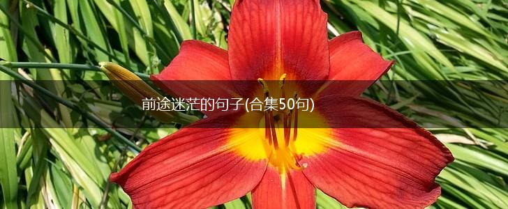 前途迷茫的句子(合集50句),第1张