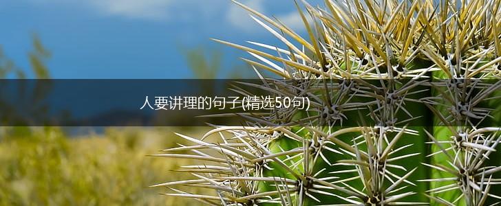 人要讲理的句子(精选50句),第1张
