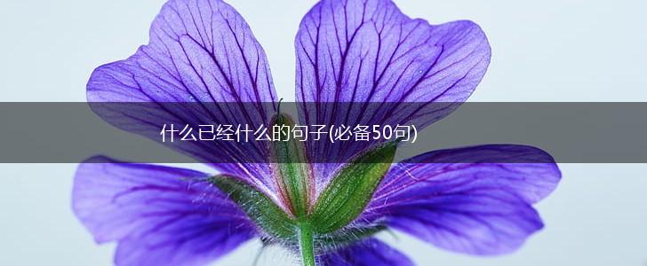 什么已经什么的句子(必备50句),第1张