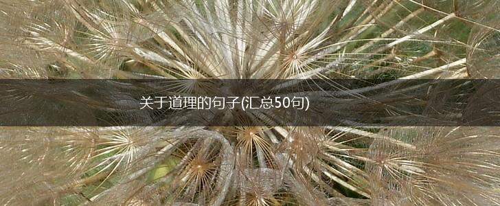 关于道理的句子(汇总50句),第1张