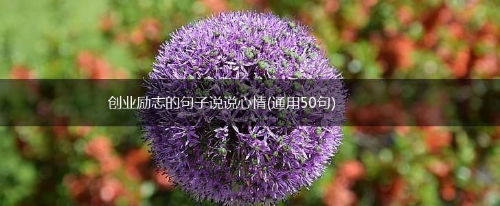创业励志的句子说说心情(通用50句),第1张