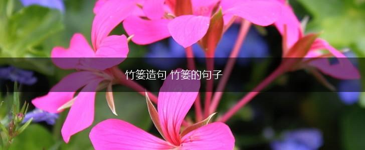 竹篓造句 竹篓的句子,第1张