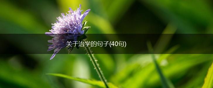 关于治学的句子(40句),第1张