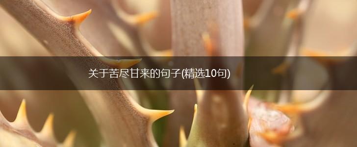 关于苦尽甘来的句子(精选10句),第1张