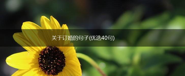 关于订婚的句子(优选40句),第1张