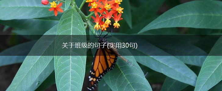 关于班级的句子(实用30句),第1张
