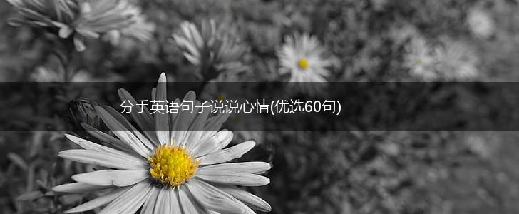 分手英语句子说说心情(优选60句),第1张