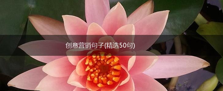 创意营销句子(精选50句),第1张
