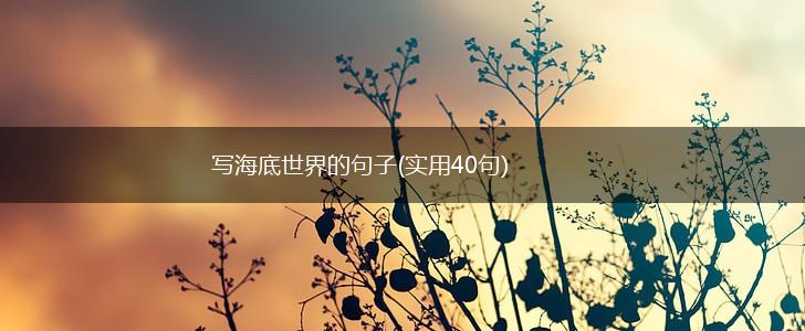 写海底世界的句子(实用40句),第1张