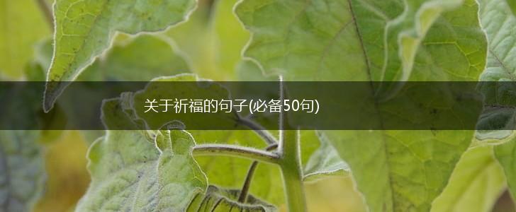 关于祈福的句子(必备50句),第1张