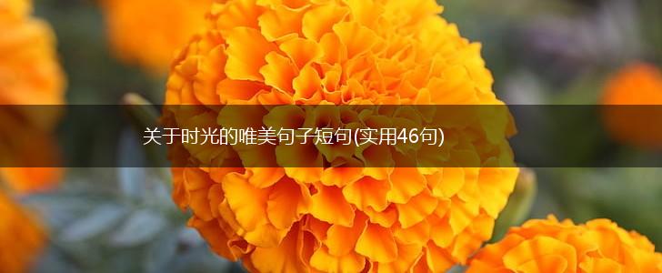 关于时光的唯美句子短句(实用46句),第1张