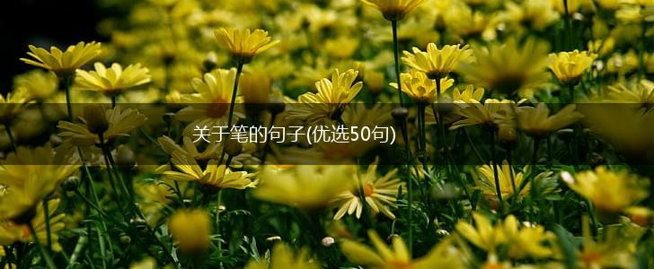 关于笔的句子(优选50句),第1张