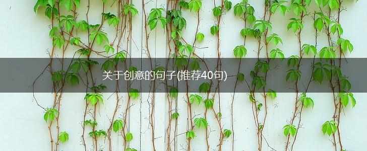 关于创意的句子(推荐40句),第1张