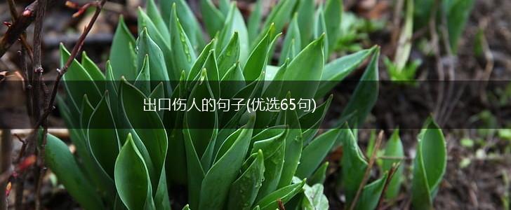 出口伤人的句子(优选65句),第1张