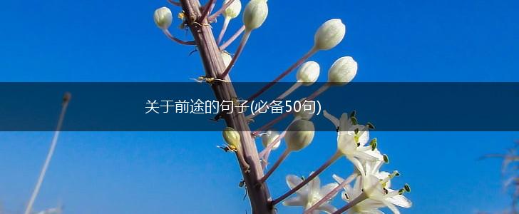 关于前途的句子(必备50句),第1张