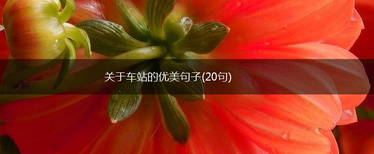 关于车站的优美句子(20句),第1张