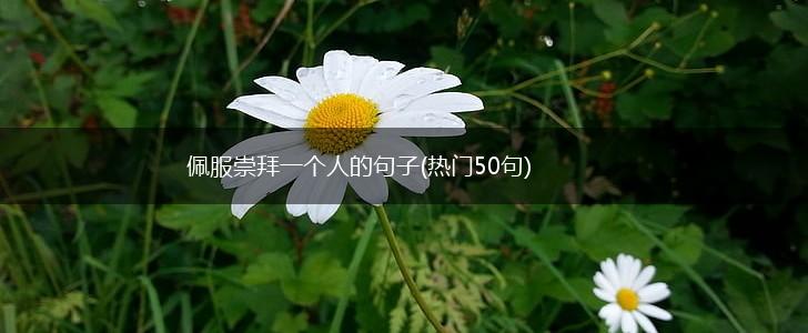 佩服崇拜一个人的句子(热门50句),第1张