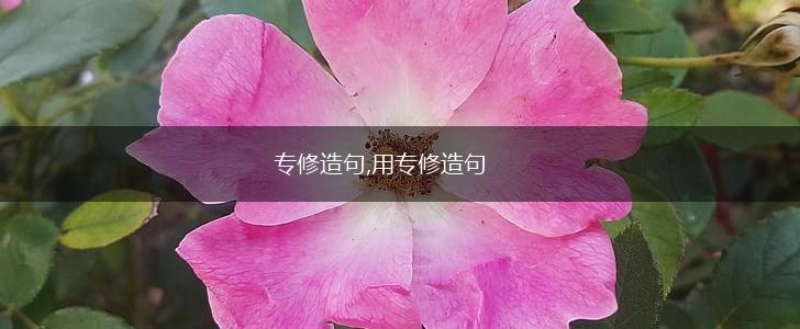 专修造句,用专修造句,第1张
