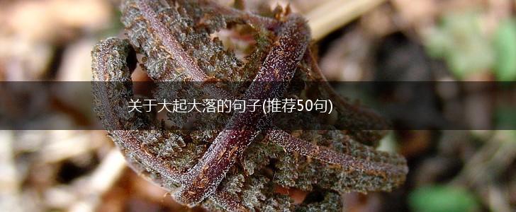关于大起大落的句子(推荐50句),第1张