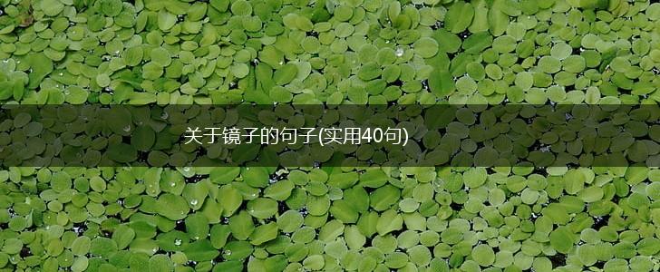 关于镜子的句子(实用40句),第1张