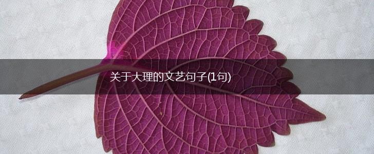 关于大理的文艺句子(1句),第1张